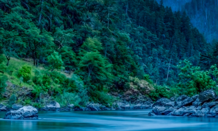 Picture of river edge, dark green trees surrounding large rocks on river bank 