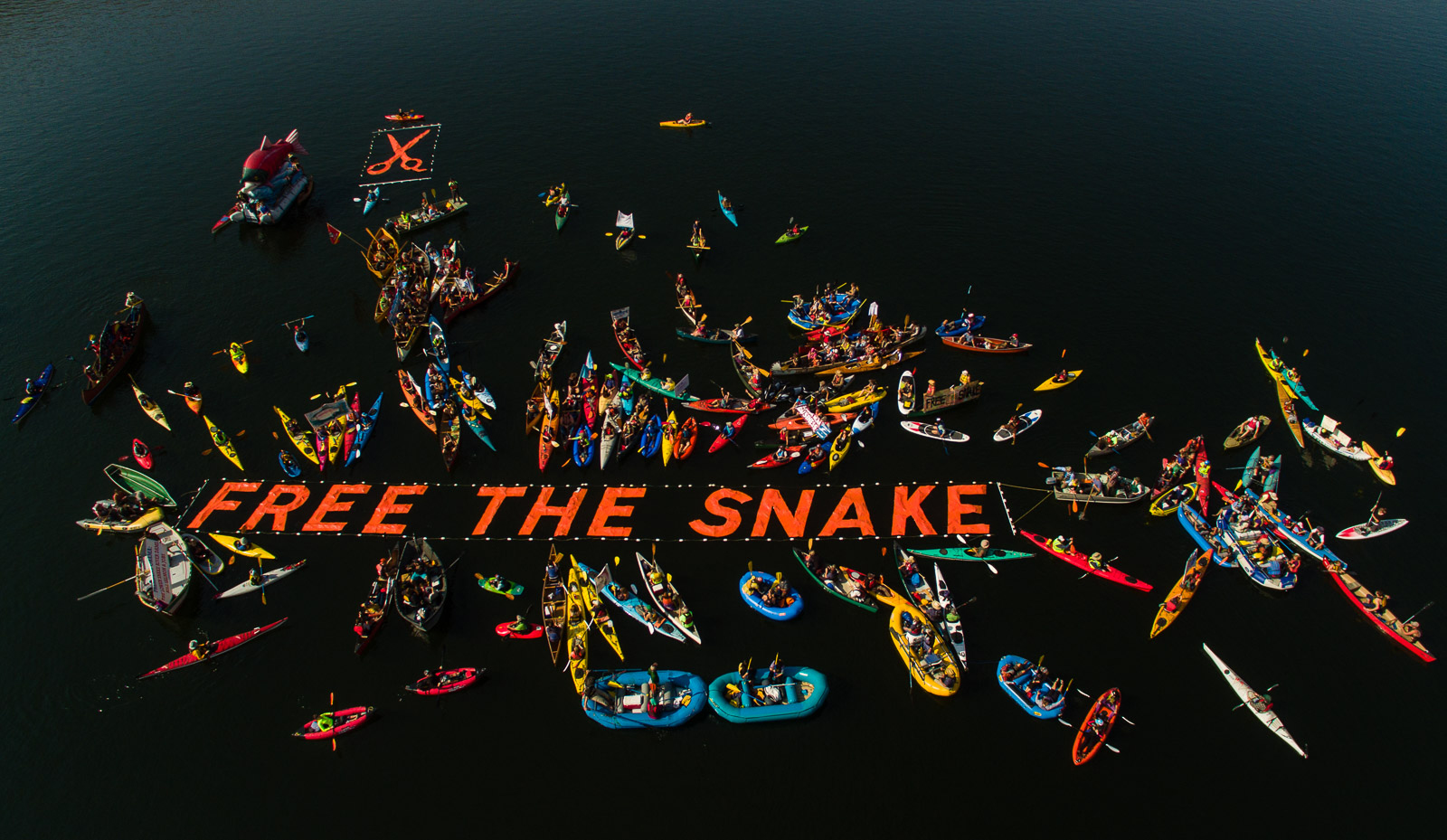 a gathering of kayakers on the river, holding a large sign that reads, "Free the Snake"