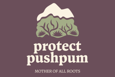 Protect Pushpum, mother of all roots